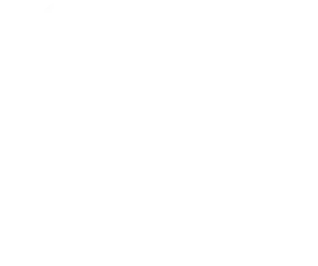 image (21)